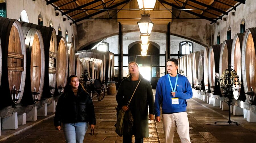 From Lisbon: Sintra, Pena Palace, Cascais and Wine Tasting - Sintra’s historic center: the calm before the palace climb