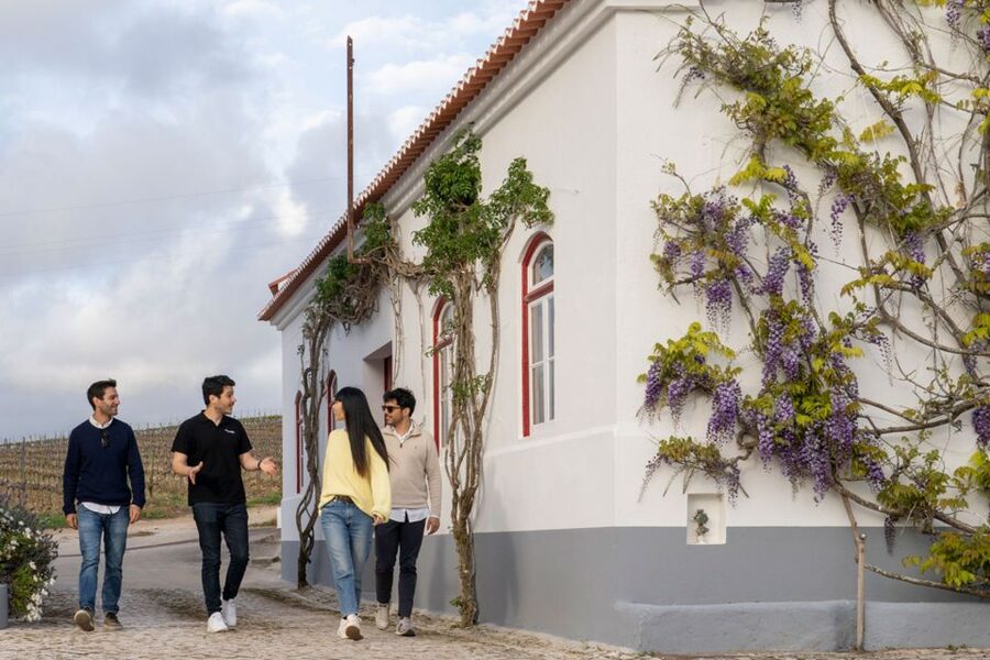 From Lisbon: Sintra & Pena Palace Day Trip with Wine Tasting - Lisbon to Sintra: The Ride, the Timing, and the Value