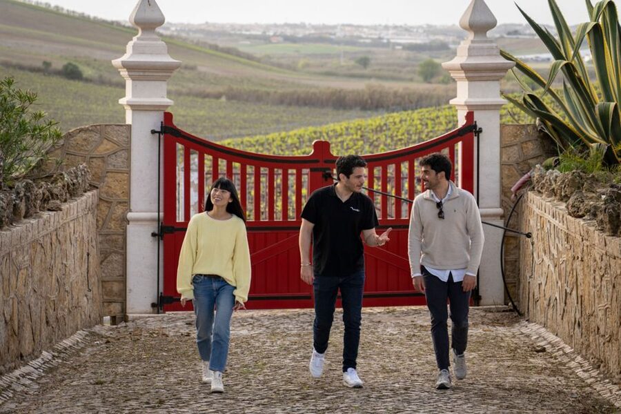 From Lisbon: Sintra & Pena Palace Day Trip with Wine Tasting - Mafra Winery Visit: From Ancient Lagar to a Modern Cellar