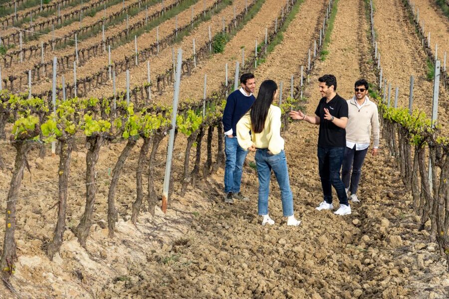 From Lisbon: Sintra & Pena Palace Day Trip with Wine Tasting - Pena Palace Gardens: Romanticism With a Real-Time Guide