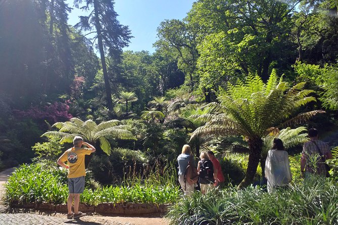 From Lisbon: Sintra's Historical and Natural Gems - Down to Sintra Old Town: Lunch Time That You Control