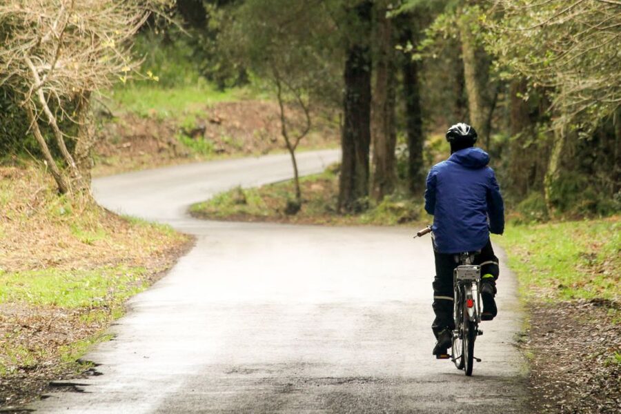 From Lisbon: Sintra to Cascais Full-Day Guided E-Bike Tour - Sintra National Palace Option, Quinta da Regaleira, and the Seteais Pass