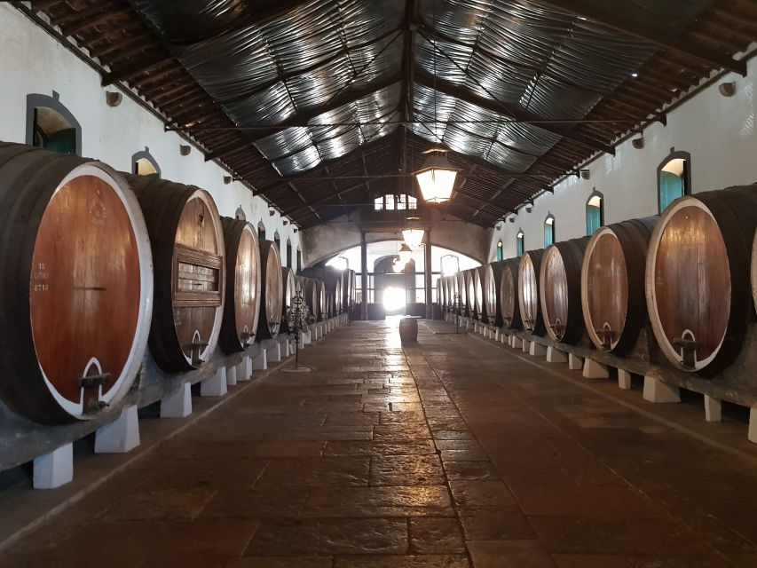 From Lisbon: Sintra Wine Experience - A family-run hillside winery with a 100-year comeback