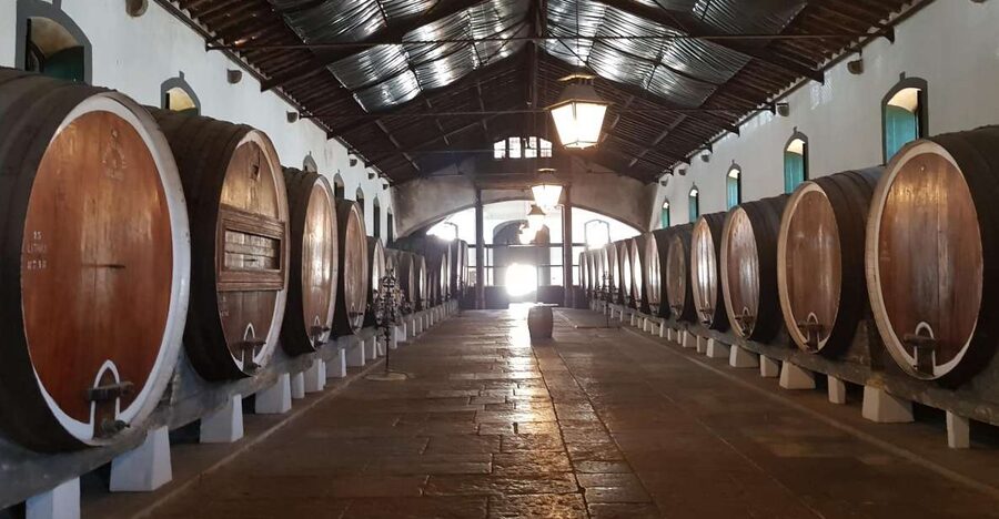 From Lisbon: Sintra Wine Experience - Price and value: is $171 a fair deal?