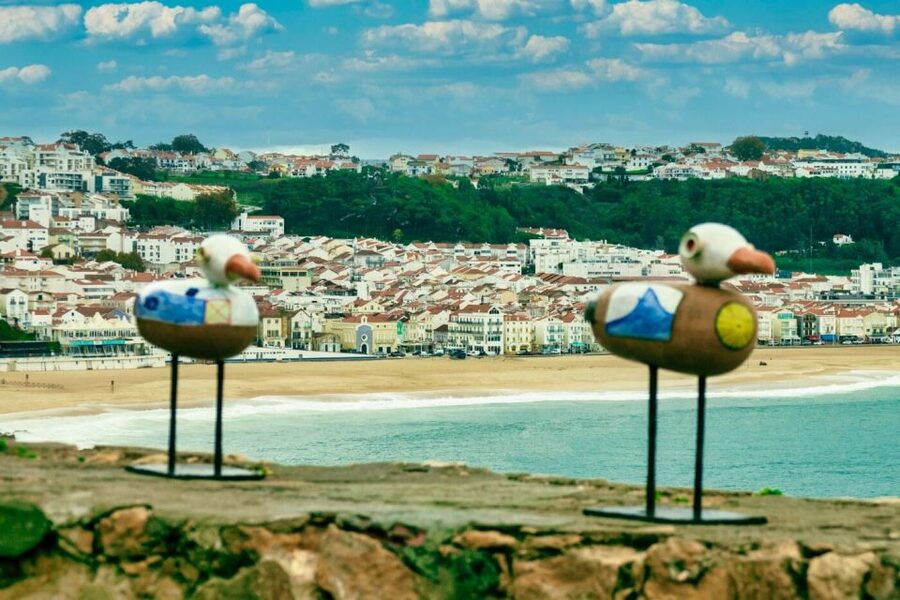 From Lisbon: Tansfer to Porto with stops until 3 cities - Value and cost: $481 per group up to 3, with the right inclusions