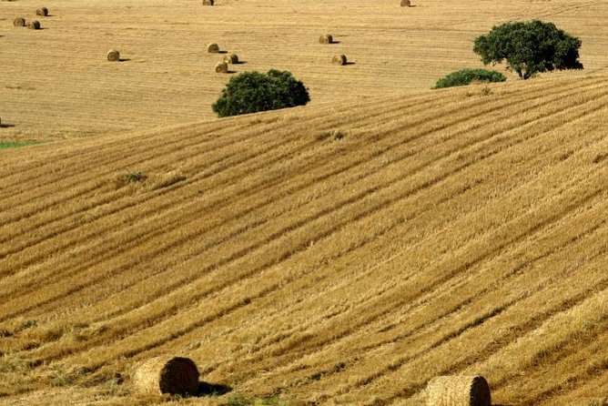 From Lisbon to Alentejo: Évora and Megaliths Full-Day Group Tour - Évora and Alentejo, in one planned 8-hour day