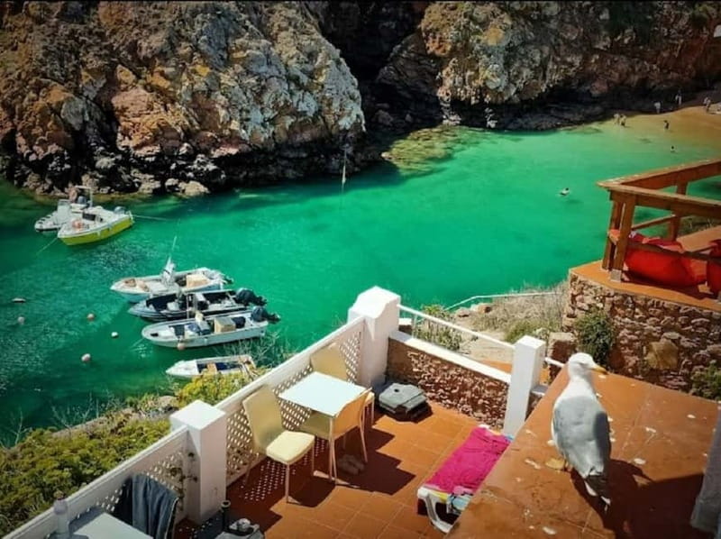 From Lisbon: Tour to Berlengas, a UNESCO natural reserve - Ocean Views and Where You’ll Eat: mesadailha and What’s Included