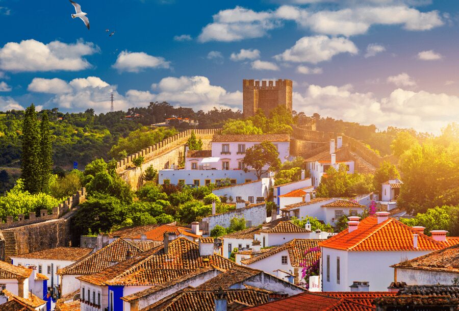 From Lisbon: Tour to Óbidos and Nazaré - Medieval Village, Sour Cherry and Iconic Beaches - Nazaré’s Praia do Norte, where giant waves are the main character