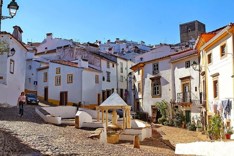 From Lisbon: Town-Hopping Transfer to Porto - Where Leitao da Bairrada fits: optional Mealhada food break