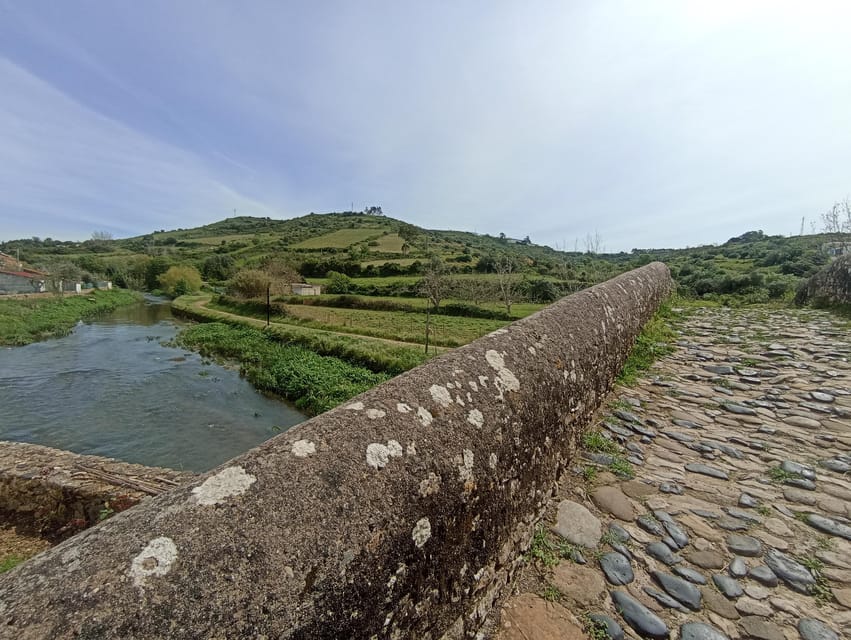 From Sintra, Mafra, or Ericeira: Hike and Wine Tour - Why Cheleiros makes this wine day feel real