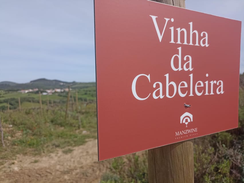 From Sintra, Mafra, or Ericeira: Hike and Wine Tour - Who this tour is best for (and who should skip it)