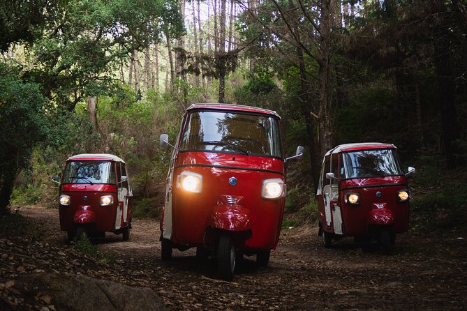 Full-Day Guided Tuk-Tuk Tour in Sintra - Pena Palace and the Park: Romantic, Gothic, Moorish in One Day
