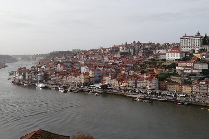 Full day Private tour in Porto - Livraria Lello and Clérigos Tower: seeing Porto up close and upward