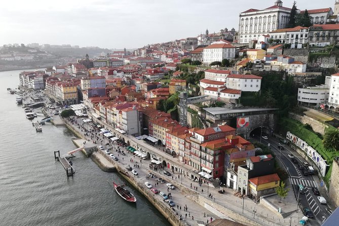 Full day Private tour in Porto - The guide factor: comfort, pride, and friendly pacing