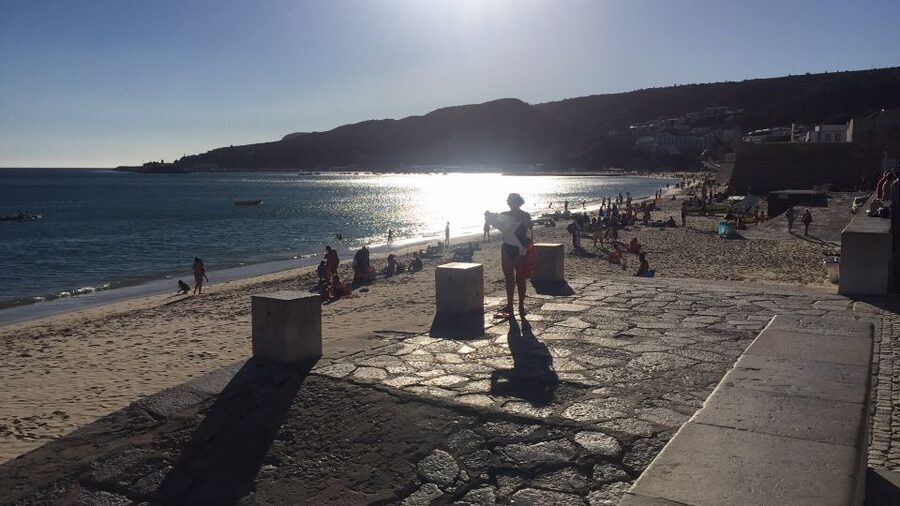 Full Day Private Wine Tour in Arrabida - Price and value: what $221 gets you in real terms