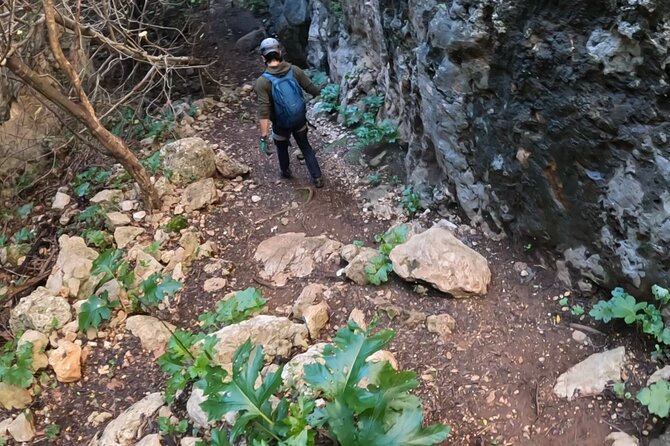 Full Day Rock Climb Adventure Trail from Lisbon with Lunch - Quick hits before you go