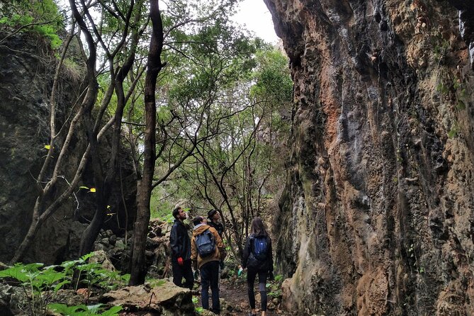 Full Day Rock Climb Adventure Trail from Lisbon with Lunch - Where Arrabida Natural Park Turns a Lisbon Day Into a Real Adventure