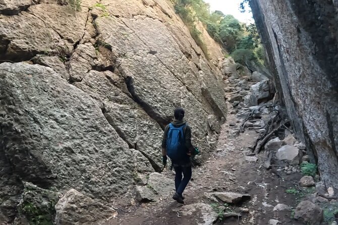 Full Day Rock Climb Adventure Trail from Lisbon with Lunch - Snacks, Drinks, and Viewpoint Stops That Keep the Day Enjoyable