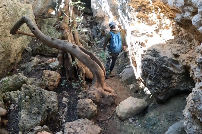 Full Day Rock Climb Adventure Trail from Lisbon with Lunch - The Scenic Ride Back and the Toast Moment