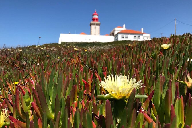 Full Day Tour: Sintra, Pena Palace, Cabo da Roca, Cascais - Transportation and pace: comfortable van time, not a slow grind