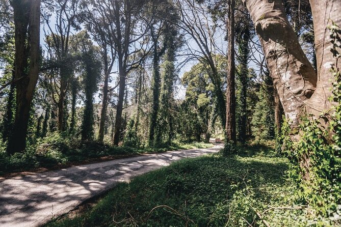 Full-Day Tour to Sintra and Cascais - Quinta da Regaleira: the UNESCO stop you can add or skip