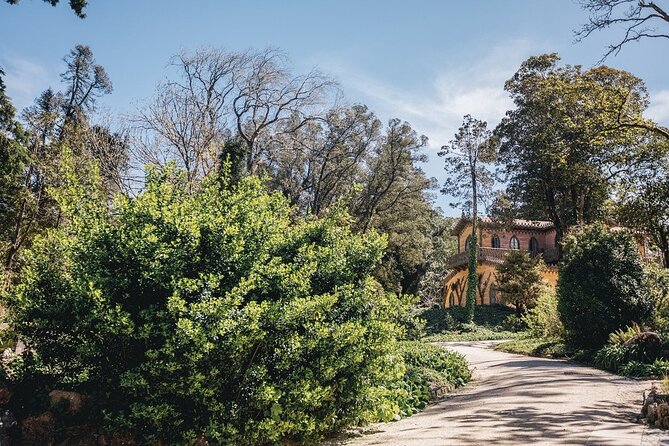 Full-Day Tour to Sintra and Cascais - Sintra village center: getting your bearings fast