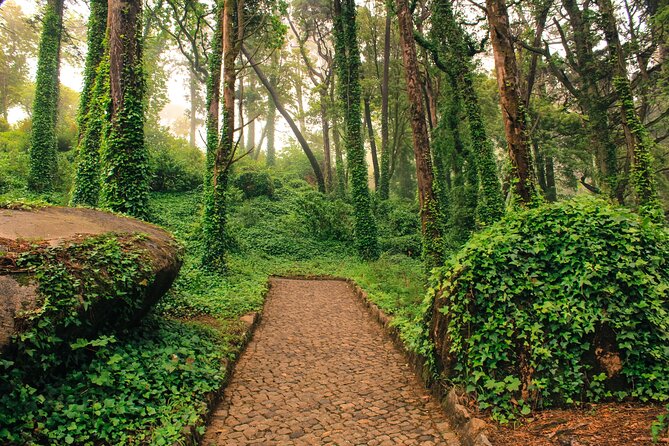 Golden Triangle Private Tour (Sintra and Cascais), from Lisbon - Price and value: what you get for $342.45 per person