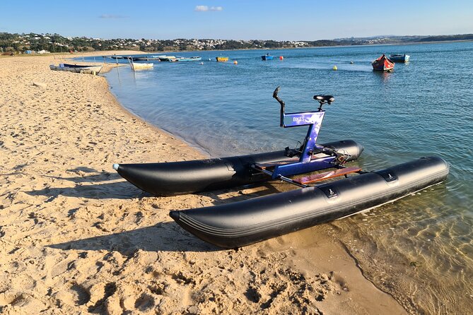Guided Kayak Tours in the Óbidos lagoon - Meeting at Cais da Foz do Arelho: Timing, Group Size, and What to Expect