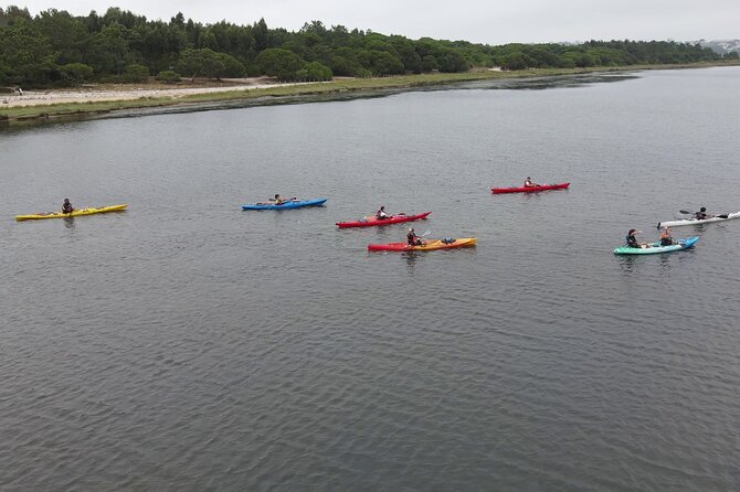 Guided Kayak Tours in the Óbidos lagoon - Stop 1 on Lagoa de Óbidos: Wildlife, Birds, Edible Plants, and the Real Local Traditions