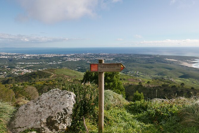 Half day adventures in the Sintra mountain - Monserrate Palace: the garden-friendly ending