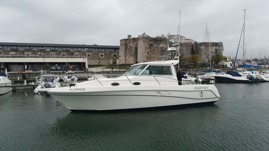 Half Day Fishing Trip - Price and Logistics: The Real Value Check for $90