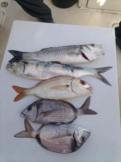 Half Day Fishing Trip - Entering The Boat Experience: Gate H at Marina de Cascais
