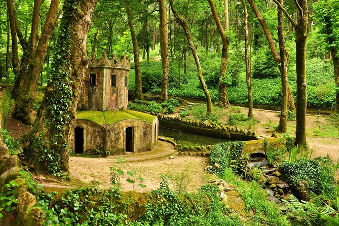 Half Day Private Tour - Sintra World Heritage - Pena National Palace and Park: the storybook start