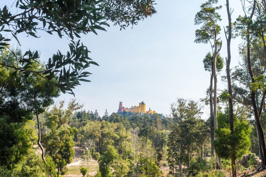 Half-Day Sintra Tour from Lisbon with Transfers - Sintra village: the palate cleanser between palaces