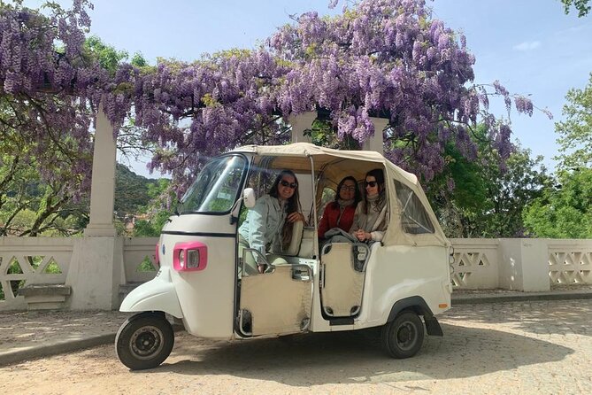 Half Day Tour in Sintra and the Coastline - Why a 4-hour Sintra plus coastline plan makes sense