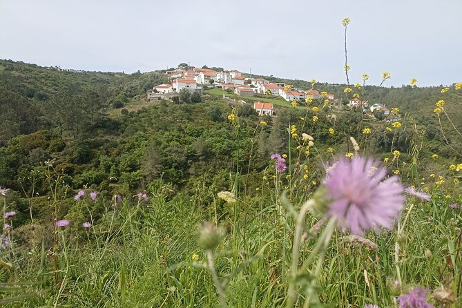 Hike & Wine Ericeira - Following the volcanic clue at Penedo do Lexim