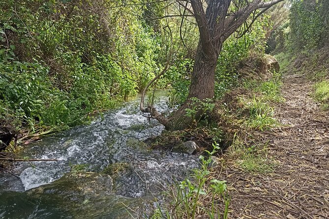 Hike & Wine Ericeira - The Manzwine welcome: what you gain before you taste