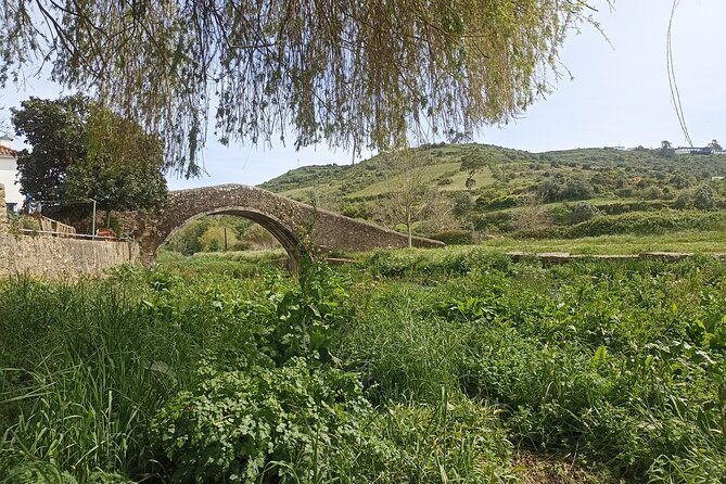 Hike & Wine Ericeira - Price and value: what $119.14 buys you