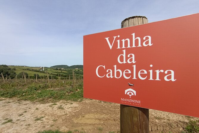Hike & Wine Ericeira - Booking timing and the reality of weather