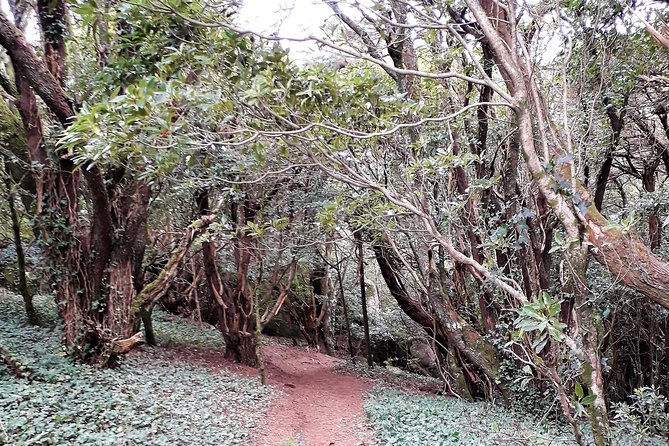 Hiking in Sintra-Cascais Natural Park - Key things I think you’ll care about most