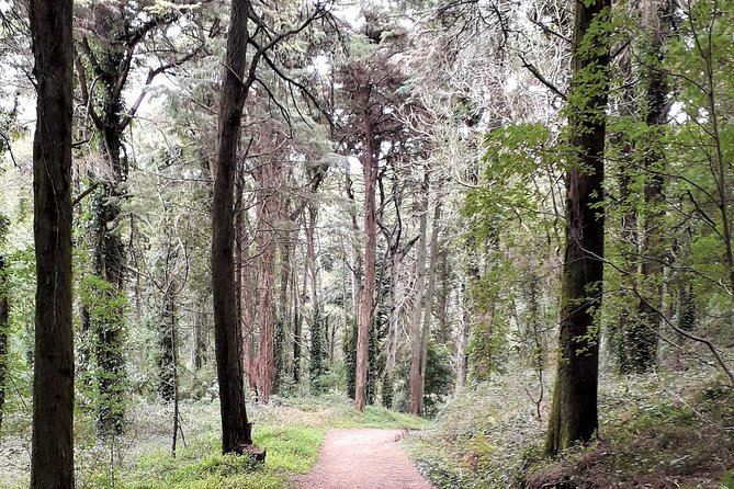 Hiking in Sintra-Cascais Natural Park - Getting started at Cascais Train Station (and why it matters)