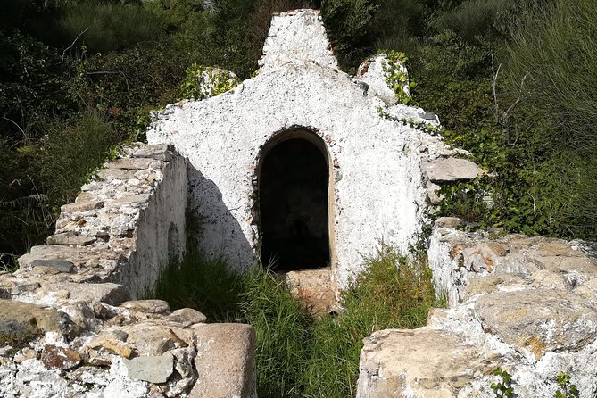 Hiking in Sintra-Cascais Natural Park - What the guide adds: Pedro and the habit of pointing things out