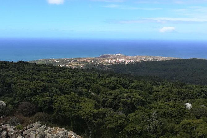 Hiking in Sintra-Cascais Natural Park - Transport, group size, and how to pack for a 9:00 am start