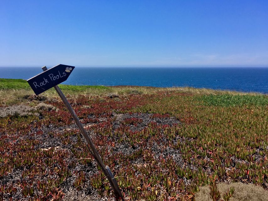 Hiking Tour Along the West Coastline - Key Highlights That Make This Hike Worth It
