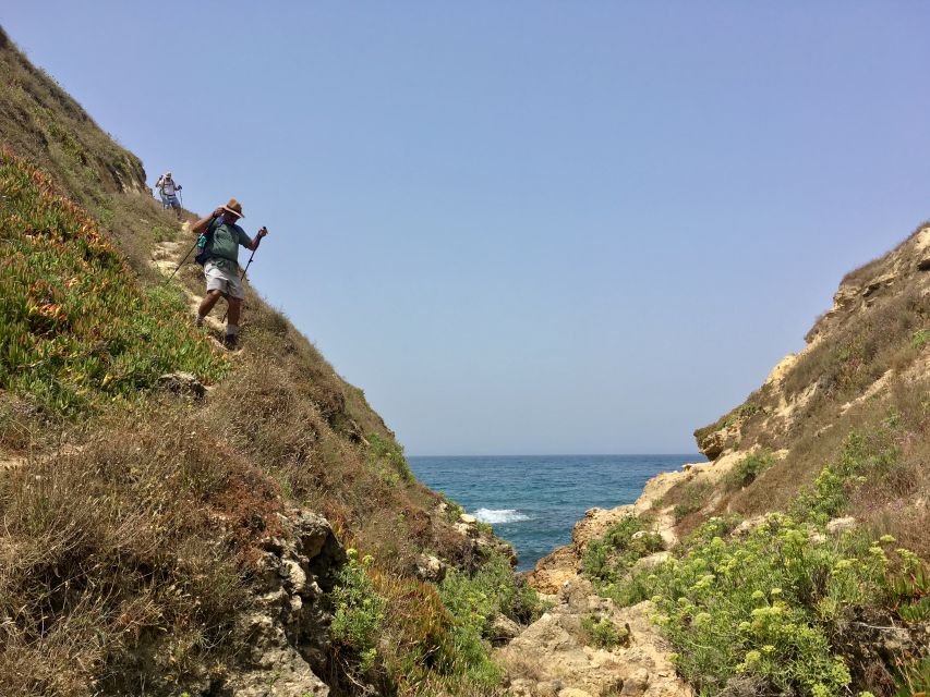 Hiking Tour Along the West Coastline - Secret Stops, Flower Breaks, and That Feel of Getting Off the Usual Route