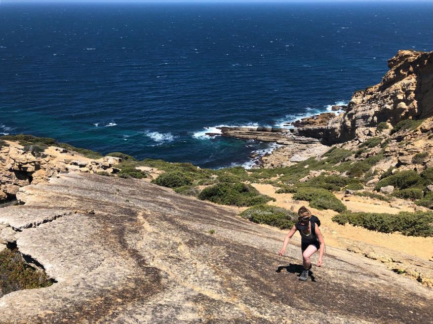 Hiking Tour Along the West Coastline - Arrábida Natural Park Plants and Wildlife Spots on a Hiking Day