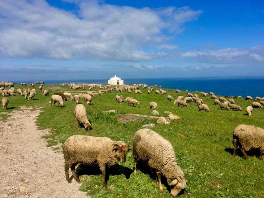 Hiking Tour Along the West Coastline - Areia de Mastro Natural Pools, Wild Beaches, and Optional Dip Time