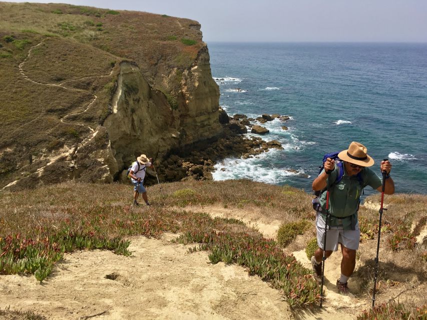 Hiking Tour Along the West Coastline - Dinosaur Footprints Along the Route, Fossil Finds, and Why It Feels Special
