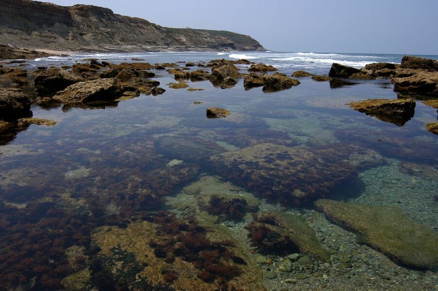 Hiking Tour Along the West Coastline - The Shared Thread in the Best Reviews: Guides Who Manage the Trail