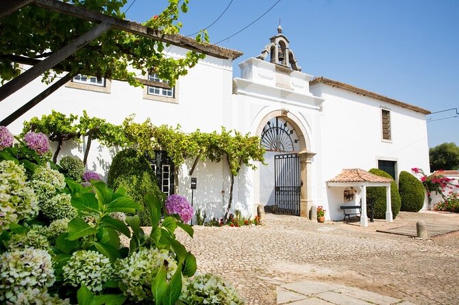Historic Winery Tour and Tasting in Bombarral - Key Things I’d Mark on Your Itinerary